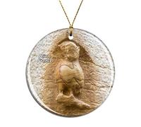 Ornement Suspendu Au Sapin De Noël Sentier De La Chouette De France Dijon Créatif Décoration Noel Élégant Pendentifs pour Balcon Fête Vacances