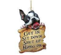 Ornement Suspendu de la Voiture, Chien Mignon de Voiture à Deux côtés, décorative Get in Sit Down Decor pour Les Cadeaux d'amants Chiens, Miroir...
