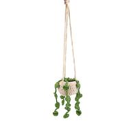 Ornement Suspendu de Voiture,Décoration de Rétroviseur de Voiture Au Crochet de Plantes pour la Décoration de la Maison de Rétroviseur de Voiture