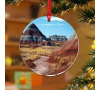 Ornements à suspendre dans le parc national de la forêt pétrifiée - Peintures de paysages naturels rustiques - Disques acryliques transparents - Pour amoureux de la nature ou voyageur - Décoration
