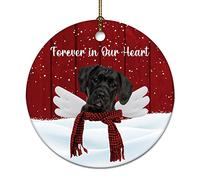 Ornements De Noël À La Mémoire du Chien Pinscher, Toujours dans Notre Cœur Ornement en Céramique Créatif avec Corde Décorations Noël Sapin Pendentifs