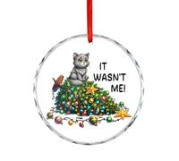 Ornements de Noël amusants pour arbre, souvenir en verre « It Wasn't Me », pendentif décoratif de fête d'hiver, cadeau de Noël pour amoureux des chats, famille, amis - Rond - 7,5 cm