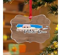 Ornements de Noël en acrylique de 7,6 cm - Porto Rico - Décoration de Noël moderne - Décoration de sapin de Noël - Œuvre d'art moderne - Paysage urbain - Souvenir - Disque transparent avec étiquette