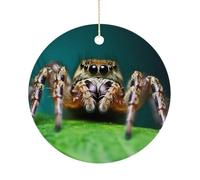 Ornements de Noël en céramique araignée sauvage, 7,6 cm - Décoration ronde double face à suspendre pour maison, fête, hôtel, cadeau pour enseignant, voisin, ami