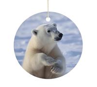 Ornements de Noël en céramique ours polaire 7,6 cm - Décoration ronde double face à suspendre pour maison, fête, hôtel, cadeau pour enseignant, voisin, ami