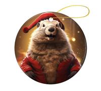 Ornements De Noël Marmotte Animal Animaux Mignon Faune Céramique Décoration Classique Décorations Noël Sapin Pendentifs Personnalisable Décorations De Noël, 2 Piece