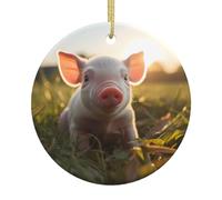 Ornements de Noël ronds en céramique à motif cochon parfumé. Convient pour les arbres de Noël, les fêtes de fin d'année, la décoration de la maison