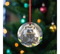 Ornements de sapin de Noël en forme de hérisson assis sur le dessus en acrylique - Disques circulaires transparents pour Noël, hiver, Nouvel An