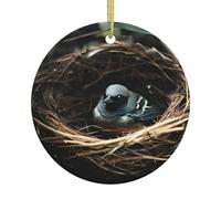 Ornements en céramique avec motif nid d'oiseau, pendentifs ronds, peuvent être accrochés sur les arbres de Noël ou les portes et fenêtres.