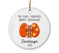 Ornements en céramique personnalisés avec inscription « The Year I Survived » pour transplantation rénale 2025, décoration de Noël personnalisée pour survivant d'une transplantation rénale, cadeau de