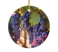 Ornements ronds en céramique imprimés en forme de raisin du désert pour les fêtes de fin d'année et les décorations de cheminée