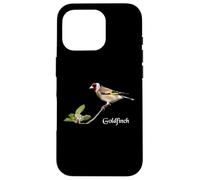 Ornithologie des Oiseaux Chardonneret européen Coque pour iPhone 16 Pro