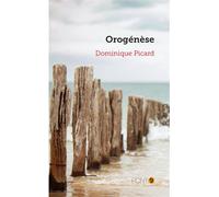 Orogénèse - Dominique Picard - Pont 9 - broché - Roman