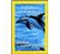 Orques: prédateurs des mers - Dauphins: les danseurs de l'océan E