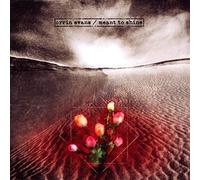 Orrin, Evans - Meant To Shine