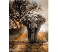 Orsit 5D Diamond Painting Kit de Peinture Bricolage Artisanat Maison Décoration Murale -l'éléphant（12x18inch/30x45CM）