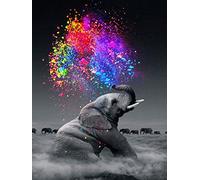 Orsit 5D Diamond Painting Kit de Peinture Bricolage Artisanat Maison Décoration Murale -L'éléphant（12x18inch/30x45CM）