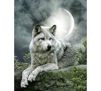 Orsit bricolage 5D Diamond Kit de peinture, Puzzle,Full Diamond broderie point de croix Arts Craft Supply pour la décoration murale à la maison,loup（12X16inch/30X40CM）