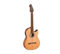 ORTEGA FLAMETAL-TWO Ben Woods Signature Guitare