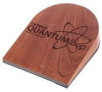 Ortega Ortega QUANTUMexp