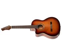 Ortega RCE238SN-FT-L