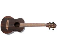 Ortega RUEB-TE