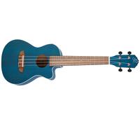 Ortega RUOCEAN-CE