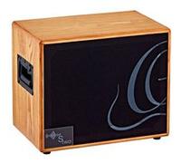 Ortega S Two Amplis electro-acoustiques