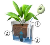 ORTHEX Cache-pot EDEN, largeur : 200 mm, blanc