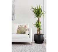 ORTHEX Pot de fleurs PAULINA, diamètre : 400 mm, blanc