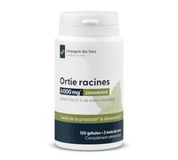 Ortie Racines Concentré 6000 mg par Jour - Titré à 1% de Bêta-Sitostérols - Prostate et Confort Urinaire - 120 Gélules Végétales Cure 2 Mois - Fabriqué en France - Compagnie des Sens Laboratoire