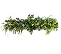 Ortisgreen HOH ! Trio Smart, 3 Planches à légumes DIY en Plastique ABS en Blanc, pour 18 Plantes, Comprend Un Support en Acier Inoxydable pour Trois HOH ! Le substrat Naturel et Les Instructions.