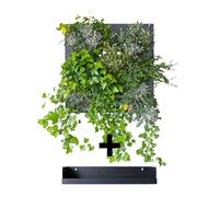 Ortisgreen HUB Module de jardin vertical bricolage en aluminium recyclé gris anthracite pour dix plantes, modulable, comprend support, baignoire pour collecte d'eau, substrat naturel et instructions.