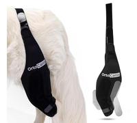 Ortocanis - Attelle Chien - Immobilisateur Genou pour Blessure - Rupture Ligament - Luxation Rotule - Patte Gauche - Taille L