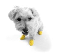Ortocanis Bottes pour Chien Pawz (Caoutchouc) - Protection, Contrôle de Traction, irritations, blessures - Taille XS
