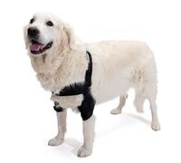 Ortocanis - Coudière Chien Souffrant d’Hygromas - de Callosités - de Dysplasie du Coude et d'Arthrose - Taille XL