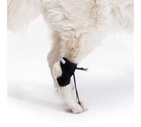 Ortocanis - Dispositif Proprioceptif pour Chiens - Knuckling, Myélopathies, Problèmes Vertébraux - Améliore la Posture, Réduit Les Blessures - Conçu par des Experts à Barcelone - Taille: L 14-20 cm