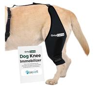 Ortocanis - Immobilisateur de Genou pour Chien - Genouillère pour Patte Droite - Rupture de Ligaments, Luxation de Rotule, Récupération Postopératoire - Néoprène Spécial - Taille : XXL de 43 a 48 cm