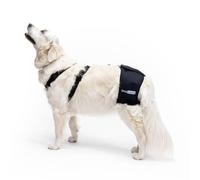 Ortocanis - Orthèse de Hanche - Support de Hanche pour Chien - Dysplasie, Arthrose Chien - Stabilise et Réduit la Douleur - Fabriqué en Néoprène ARD - Taille XXS 33-45 cm