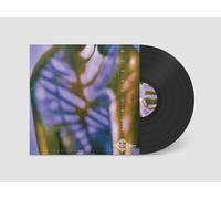 Dispatches From Solitude