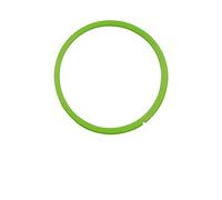 Oryx 5024305 Anneau en silicone pour récipient hermétique en verre 550 ml