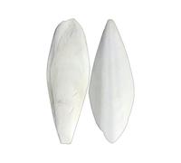 Os de calmar naturel pour oiseaux de cage comme jouet à mâcher pour les soins dentaires et l'occupation dans la nichoir (blanc3, 9 cm)