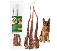 Os de Queue de Bœuf Nourris à l’Herbe pour Chiens-Friandises à Mâcher Durables, sans Additifs ni Remplisseurs, Favorise la Santé des Dents et des Gencives, Ingrédient Unique (3 PCS)