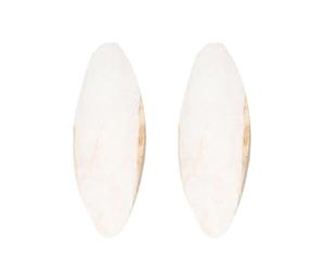 Os De Seicche Pour Oiseaux - Oss De Seichhe Pour Oiseaux, Seiiche Naturelle Pour Oiseau | Oss De Seeiche Naturel Pour Perroquets Cage Reptiles Tortues Escargots | Oiseau De Cage D'os De Seiche Cassés