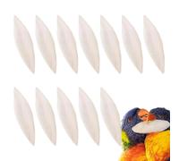 Os de seiche pour tortues Lot De 12 Pièces Râpe À Bec Naturelle | 8,9 à 11,9 cm Os de seiche pour perruche pour Tortue Inséparable Oiseau Calopsitte Perroquet Reptile Dragon barbu Conure