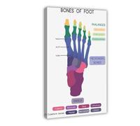 Os des pieds, anatomie humaine, étude, poster médical, affiche de biologie sur toile, décoration murale pour salon, chambre à coucher, 50 x 75 cm