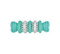 Os Menthe Denta Fun, Caoutchouc Naturel , 15 Cm - Mon Animalerie