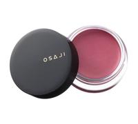 OSAJI - Nuance Face Color 12 Kyoutiki