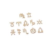 OSALADI 12 Pièces Clous Oreilles Cuivre Bijoux Pendentifs Diy Douze Signes Astrologiques Élégants Clous Oreilles Cuivre