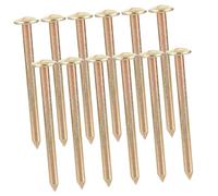OSALADI 12 Piquets d'Arpentage en Acier Galvanisé 10 CM Clous de Mesure pour Repères Topographiques Extérieurs Bornes de Propriété pour Jardinage et Délimitation de Terrain